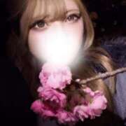 ヒメ日記 2025/04/23 01:48 投稿 あおい 素敵な女の子は好きですか？