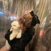 ヒメ日記 2025/11/09 22:33 投稿 あおい 素敵な女の子は好きですか？