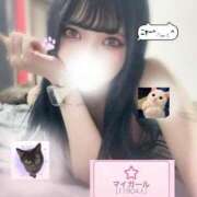 ヒメ日記 2026/02/07 15:03 投稿 あおい 素敵な女の子は好きですか？