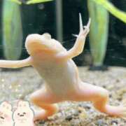 ヒメ日記 2025/03/02 09:16 投稿 菊池ナース 病院