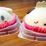 ヒメ日記 2025/03/08 09:16 投稿 菊池ナース 病院