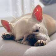 ヒメ日記 2025/03/26 09:36 投稿 菊池ナース 病院