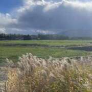 ヒメ日記 2025/10/31 19:26 投稿 菊池ナース 病院