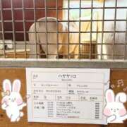 菊池ナース ここでは… 病院