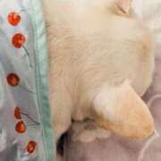 菊池ナース 引き続き 病院