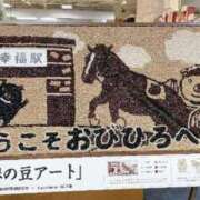 菊池ナース プロジェクトX 病院