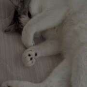 ヒメ日記 2025/07/03 06:48 投稿 梨奈 高津角えび