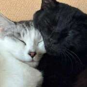 ヒメ日記 2025/11/24 07:28 投稿 梨奈 高津角えび