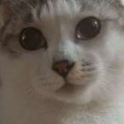 ヒメ日記 2026/03/18 20:48 投稿 梨奈 高津角えび