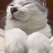 ヒメ日記 2026/04/09 07:18 投稿 梨奈 高津角えび