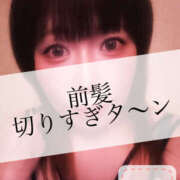 ヒメ日記 2026/05/07 11:28 投稿 梨奈 高津角えび