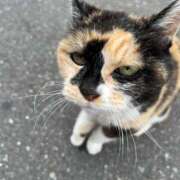 ヒメ日記 2025/01/20 11:49 投稿 はる 西川口マーメイド