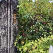 ヒメ日記 2025/05/01 11:21 投稿 はる 西川口マーメイド