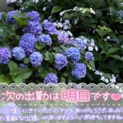 ヒメ日記 2025/06/22 13:22 投稿 はる 西川口マーメイド