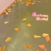 ヒメ日記 2025/09/12 11:18 投稿 はる 西川口マーメイド