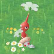 ヒメ日記 2025/11/04 13:23 投稿 はる 西川口マーメイド