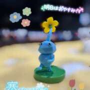 ヒメ日記 2025/11/14 12:32 投稿 はる 西川口マーメイド