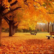 ヒメ日記 2025/11/17 12:43 投稿 はる 西川口マーメイド