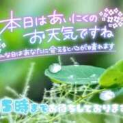 ヒメ日記 2026/02/11 10:15 投稿 はる 西川口マーメイド