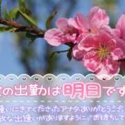 はる 3月始まり～っ🌷明日もいるよ🌱‬‪ 西川口マーメイド