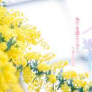 ヒメ日記 2026/03/30 13:50 投稿 はる 西川口マーメイド