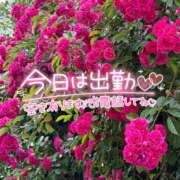 ヒメ日記 2026/05/14 14:06 投稿 はる 西川口マーメイド