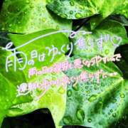 はる 明日明後日はお休みです𓏸︎︎︎︎⁡𓈒 𓂃🐌 西川口マーメイド
