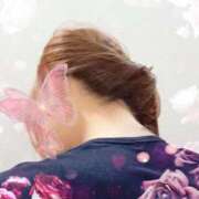 ヒメ日記 2026/02/12 14:01 投稿 八城【人妻コース】 久留米デリヘル358