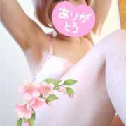 ヒメ日記 2025/04/15 01:21 投稿 つきか 熟女の風俗最終章 宇都宮店