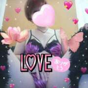 ヒメ日記 2026/02/11 04:11 投稿 つきか 熟女の風俗最終章 宇都宮店