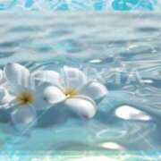 ヒメ日記 2026/03/29 20:51 投稿 つきか 熟女の風俗最終章 宇都宮店