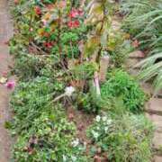 ヒメ日記 2025/01/22 09:04 投稿 なつき 池袋西口でSUGEEE求められる俺のカラダ