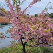 ヒメ日記 2025/03/15 19:26 投稿 なつき 池袋西口でSUGEEE求められる俺のカラダ