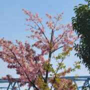 ヒメ日記 2025/03/24 13:26 投稿 なつき 池袋西口でSUGEEE求められる俺のカラダ