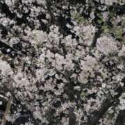 ヒメ日記 2025/04/05 17:30 投稿 なつき 池袋西口でSUGEEE求められる俺のカラダ