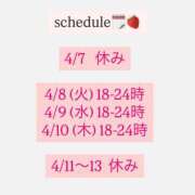 ヒメ日記 2025/04/08 01:33 投稿 藤池みやび CELEB SPA PREMIUM