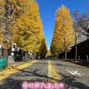 ヒメ日記 2024/12/11 07:01 投稿 香織(かおり) 人妻城 横浜本店