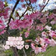 ヒメ日記 2025/02/05 07:22 投稿 香織(かおり) 人妻城 横浜本店