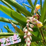 ヒメ日記 2025/05/21 10:48 投稿 香織(かおり) 人妻城 横浜本店