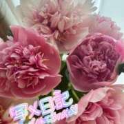 ヒメ日記 2025/06/01 07:50 投稿 香織(かおり) 人妻城 横浜本店