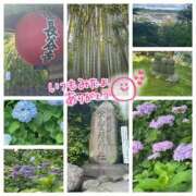 ヒメ日記 2025/06/02 09:50 投稿 香織(かおり) 人妻城 横浜本店