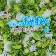 ヒメ日記 2025/07/02 06:39 投稿 香織(かおり) 人妻城 横浜本店