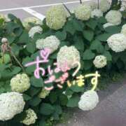 ヒメ日記 2025/07/07 08:11 投稿 香織(かおり) 人妻城 横浜本店