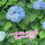 ヒメ日記 2025/07/08 09:33 投稿 香織(かおり) 人妻城 横浜本店