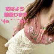 ヒメ日記 2025/10/07 07:51 投稿 香織(かおり) 人妻城 横浜本店