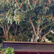 ヒメ日記 2025/10/29 21:07 投稿 香織(かおり) 人妻城 横浜本店