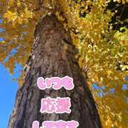 ヒメ日記 2025/12/15 12:59 投稿 香織(かおり) 人妻城 横浜本店