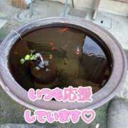 ヒメ日記 2025/12/16 08:37 投稿 香織(かおり) 人妻城 横浜本店