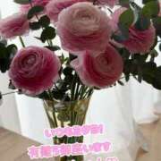 ヒメ日記 2026/02/24 10:08 投稿 香織(かおり) 人妻城 横浜本店