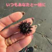 ヒメ日記 2026/03/05 09:35 投稿 香織(かおり) 人妻城 横浜本店